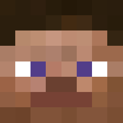 ERIK100 face игрока